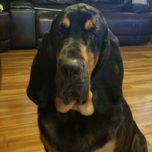 Meet your Posher, Sherrie